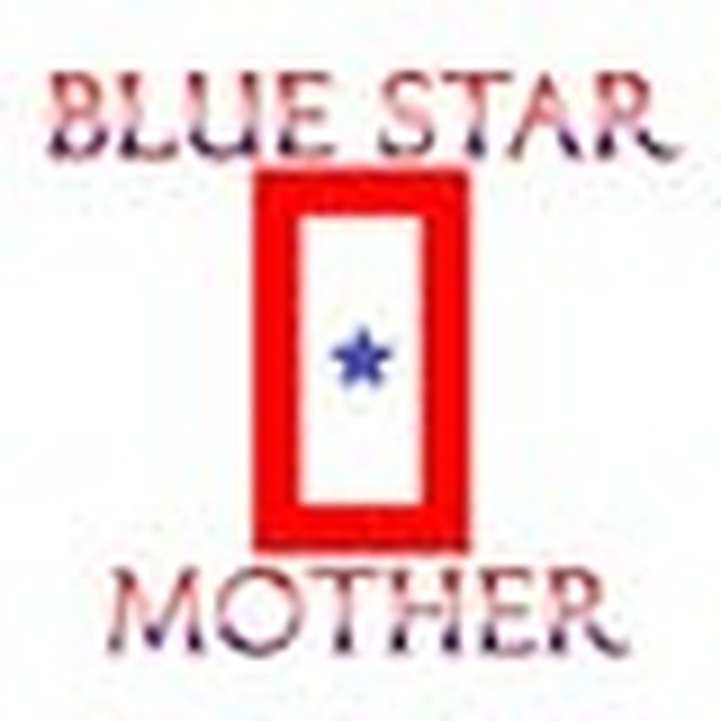 Protecting Military Voting A Blue Star Mom Speaks Out PJ Media