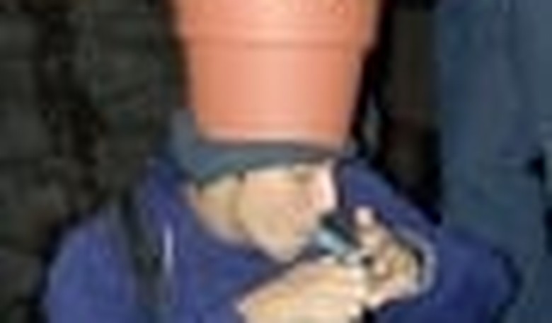 Will the Pothead Lobby Be Victorious in CA on Tuesday?
