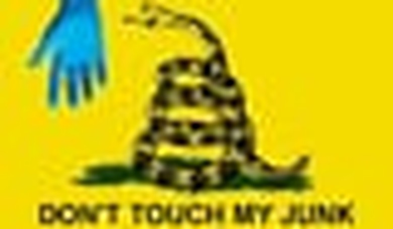 To Let the Government Touch, or Not to Let the Government Touch
