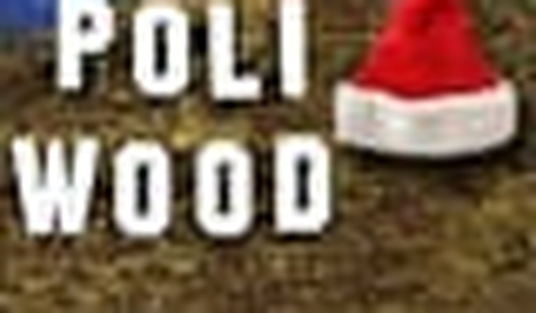PJM Political 12/25/10: Christmas in Poliwood