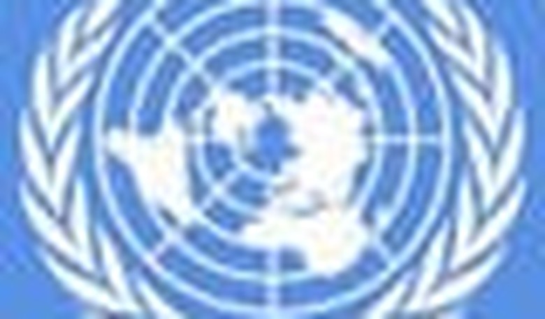 A Snapshot of Today's United Nations