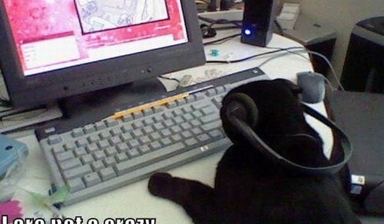 Tips for Not Appearing Crazy on the Internet