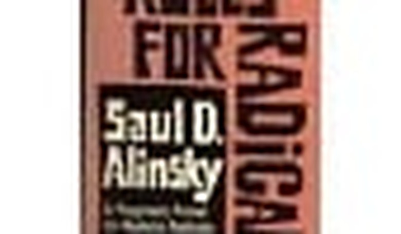 Meet Israel's Alinskyites: How Radicals Infiltrated a New Protest Movement