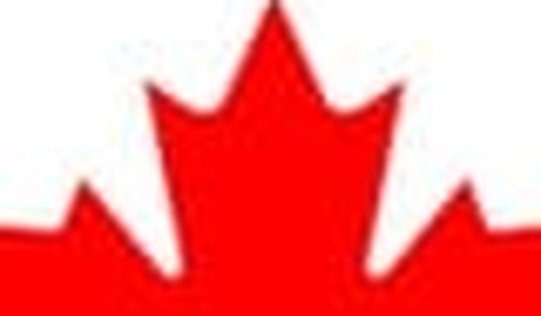 I'll Do It Myself: Fighting To Publish in 'Multicultural' Canada