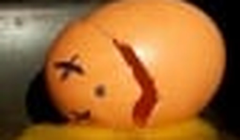 The Humpty Dumpty President's Magic Words