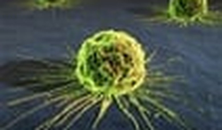 Screening for Terrorists vs. Screening for Cancer