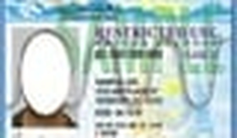Photo ID Only First Step in Fighting Voter Fraud