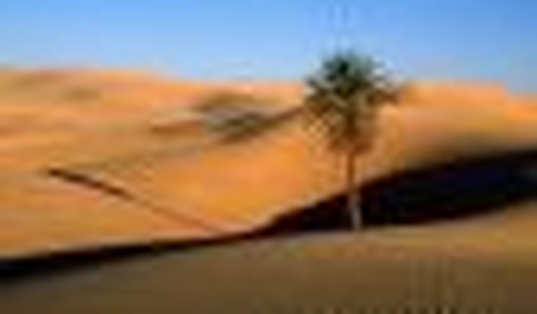 Is Global Warming Responsible for the 'Arab Spring'?