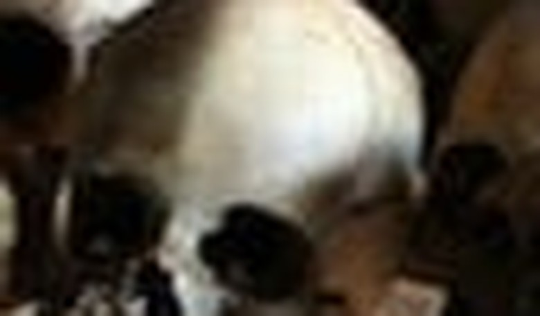 The Ghosts of Rwanda and the Responsibility to Protect