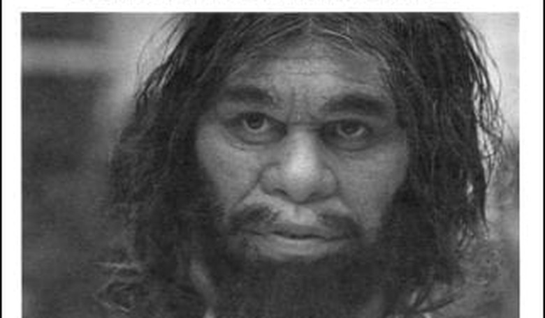 Geico Caveman Jumps the Shark