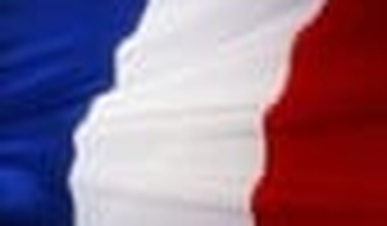 France: A Referendum on National Identity