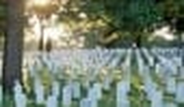 Memorial Day Special: Trifecta Honors the Fallen