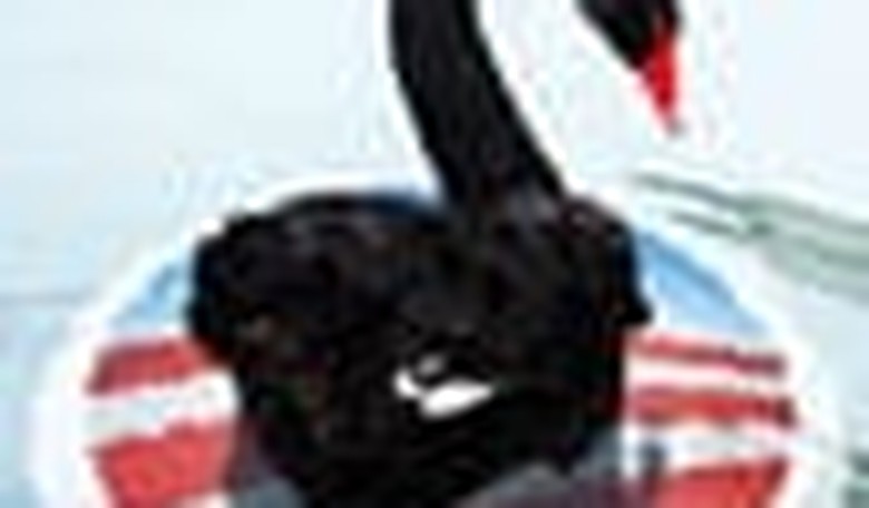 The Obama Outrages: Government as Black Swan