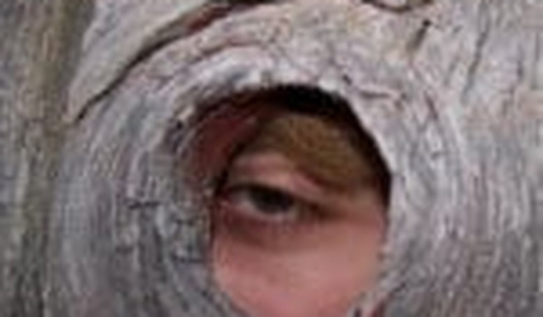 The 20 Creepiest Campaign Emails of the 2012 Season