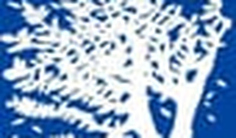 A Review of David Solway's The Boxthorn Tree