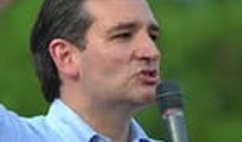 Gun Control, Mental Illness, and Safety: A Letter for Ted Cruz
