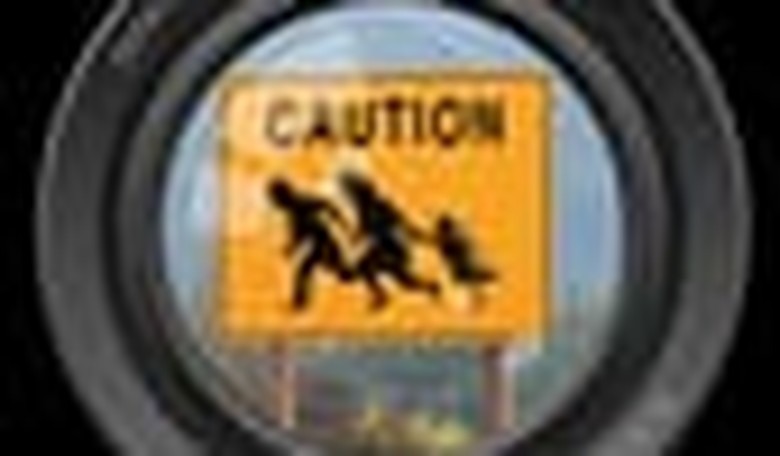 PJTV's Trifecta: The Amnesty Mess, Parts I-III (Video)