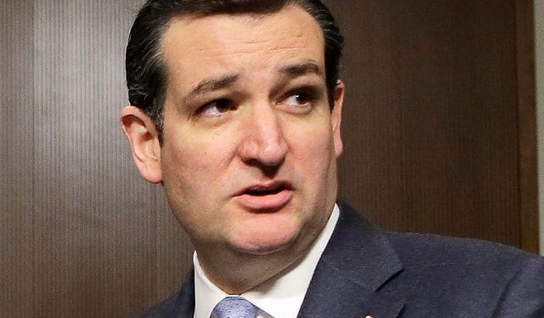 Cruz: Big Companies Drowning Out Small Business on Internet Sales Tax