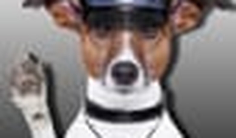 Who Let the 'Racist' Police Dogs Out?