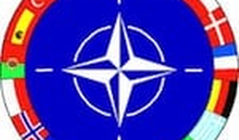 Putin's Next Steps: Why He Does Not Fear NATO