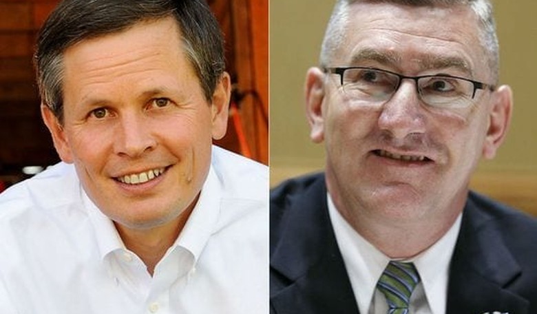 Can the Senate's Newest Appointee Win a Full Term?