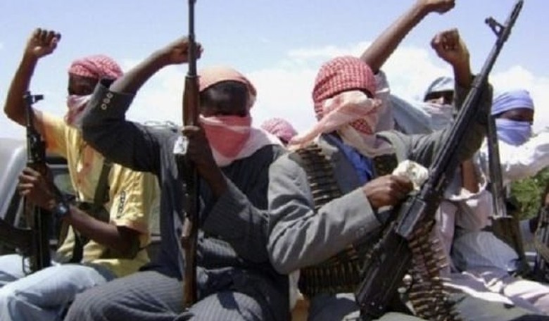 Hashtag MIA: Boko Haram Urgency Fades as Questions Raised About What Admin Knew When