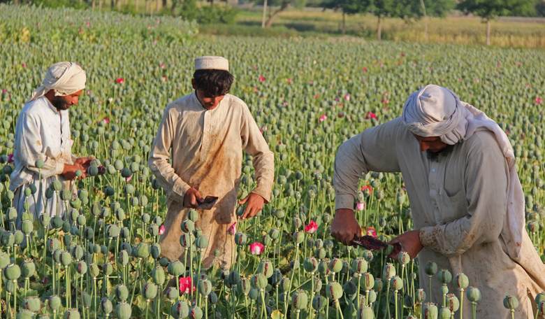 Afghans Seize 4.5 Tons of Heroin in 2015, Warn of Drugs Posing 'Similar Threat as Terrorism'