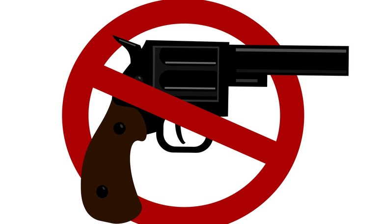 'New Republic': BAN ALL GUNS!