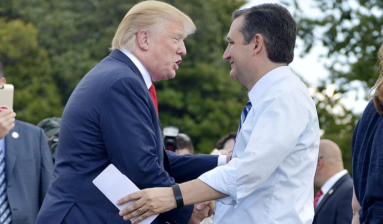 Ted Cruz: 'The Establishment's Only Hope: Trump &amp; Me in a Cage Match'
