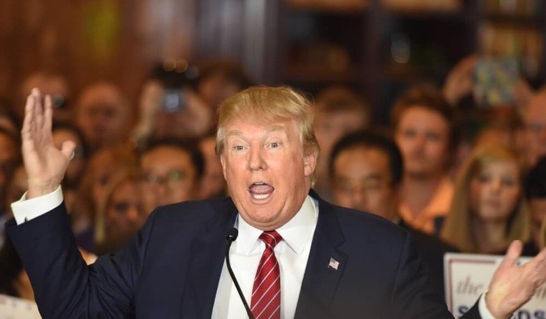 'Alpha Male' Donald Trump Can't Deal With Fox News' Megyn Kelly