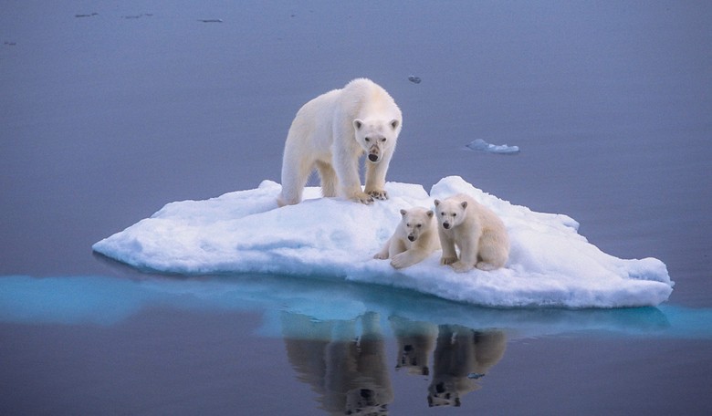 7 Stupid Movies About Climate Change