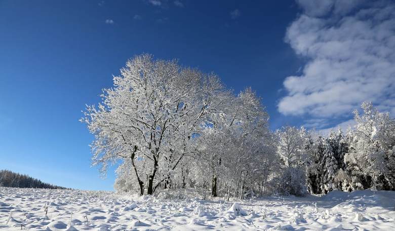 Winter Solstice, and the Vocation of Philosophy