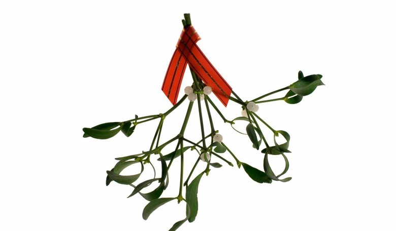 At Some Colleges, Mistletoe Not 'Inclusive' Enough to Be an Approved Christmas Decoration