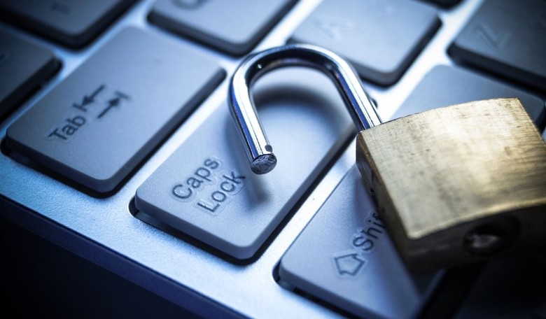 Was the Sanders Campaign's DNC Data Breach a Set-Up?