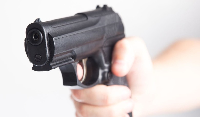 The Terrorist Gun Control Act of 2015