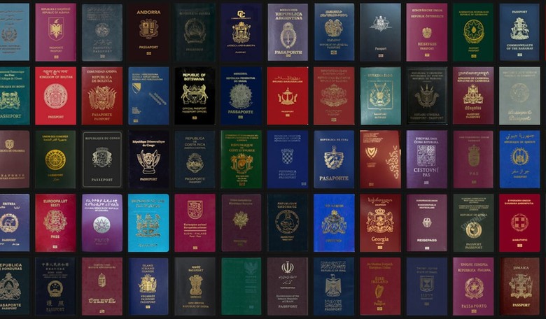 Homeland Terror's Weak Point? The Human Smuggling Networks