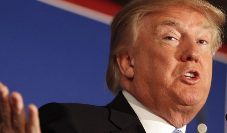 Trump and His Tools Should Stop Saying This About Constitution's 'Natural Born Citizen' Clause