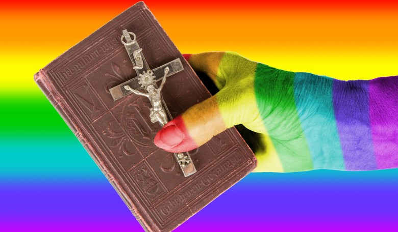 Pope Says Church Should Apologize to Gays