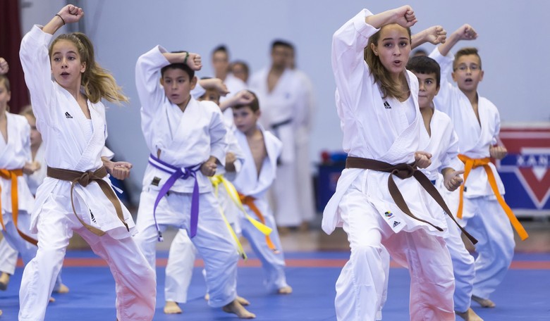 6 Questions Parents Must Ask Before Enrolling Their Kids in Martial Arts