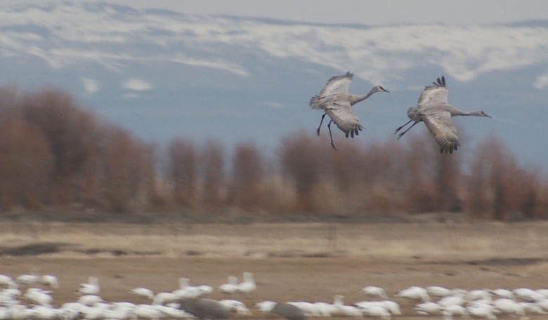 No Support for Oregon Occupiers Yet from GOP Presidential Pack