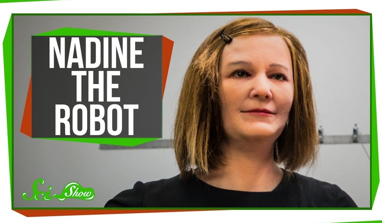 Gingrich: ‘Relatively Impossible’ to Prevent Trump from Tweeting