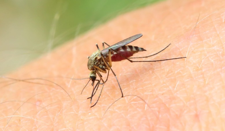 White House Diverts Unused Ebola Funding to Zika