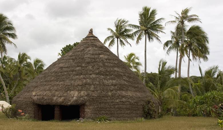 ‘Hale’ of an Idea from Hawaii Dem: Build Grass Huts for Homeless