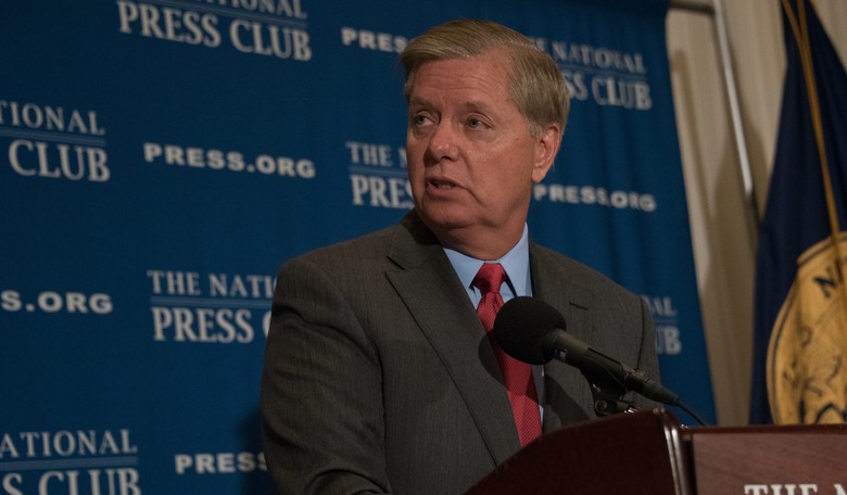 Graham on Cruz vs. Clinton: 'They Will Tear Him to Shreds'