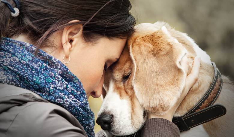 New Study Shows Your Dog Can Tell How You are Feeling