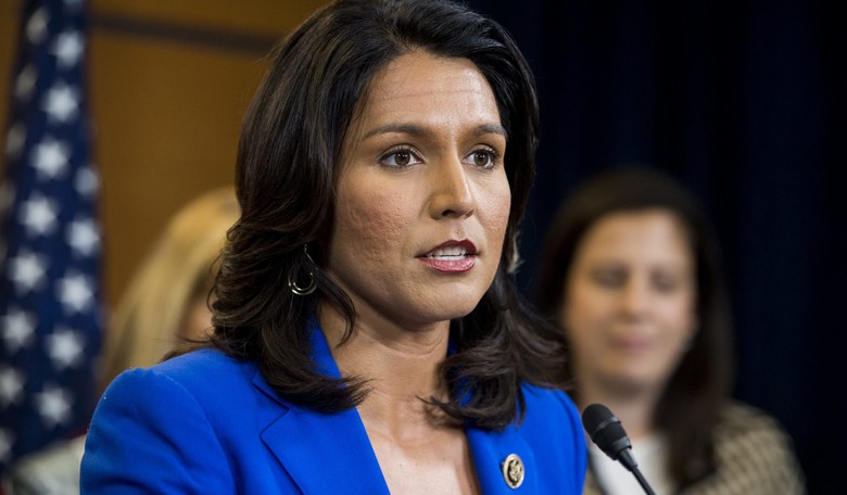 MSNBC Contributor: 'Yang and Gabbard Don't Represent the Democratic Party's Minority Base'