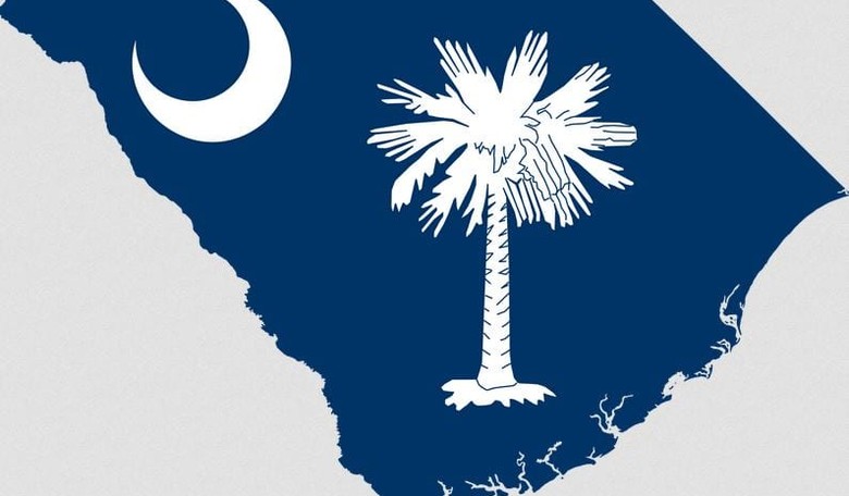 5 Things to Watch in South Carolina GOP Primary