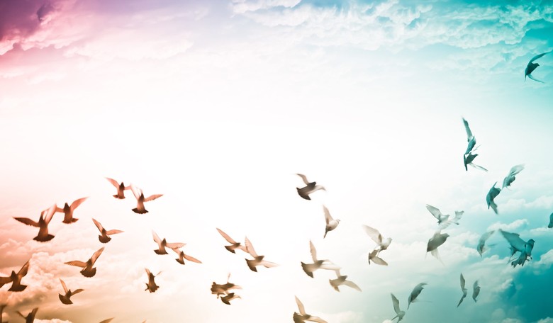 God Doesn't Cause Suffering; He Transforms It