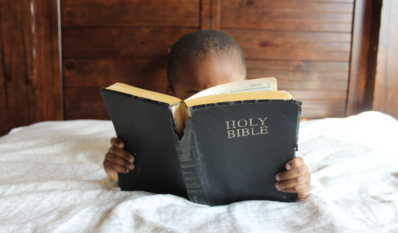 Daily Bible Reflection 11/11