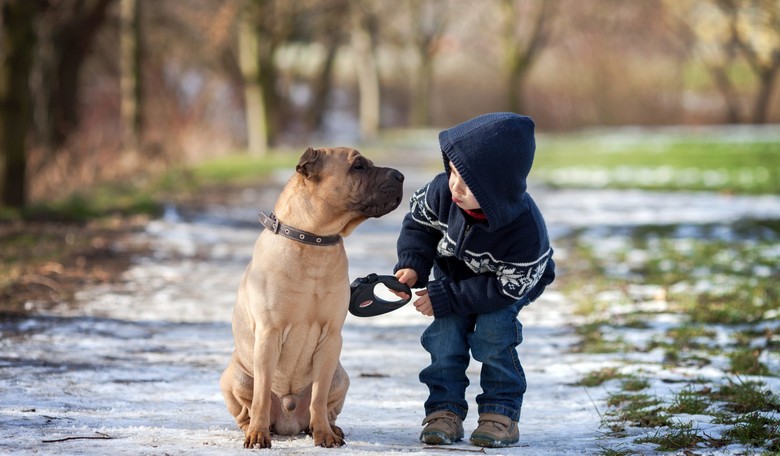 This Week's Top Parenting Links